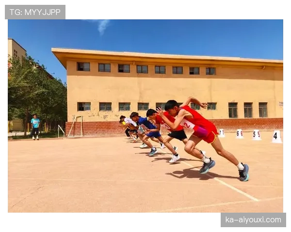 体育道德在裁判判罚中的适用与纪律标准