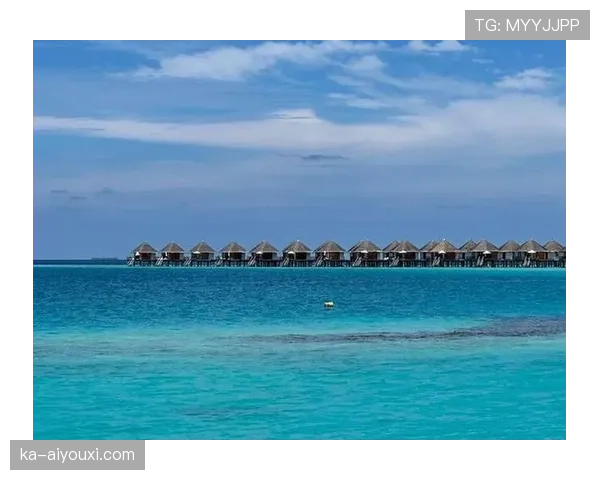 大阪刚在马尔代夫买岛，说是为了避开人群训练